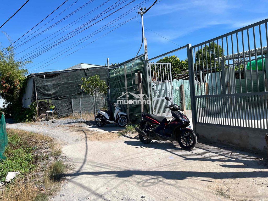 NHÀ TẠI XÃ HƯNG LONG 5X16M GIÁ 850  TRIỆU - 4