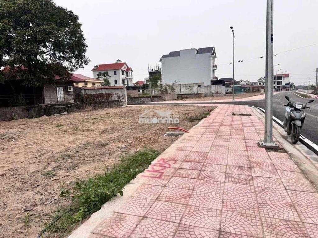 Chính chủ bán nhanh 2 lô đất đấu giá liền kề– ngay cạnh vinmec ocean p - 3