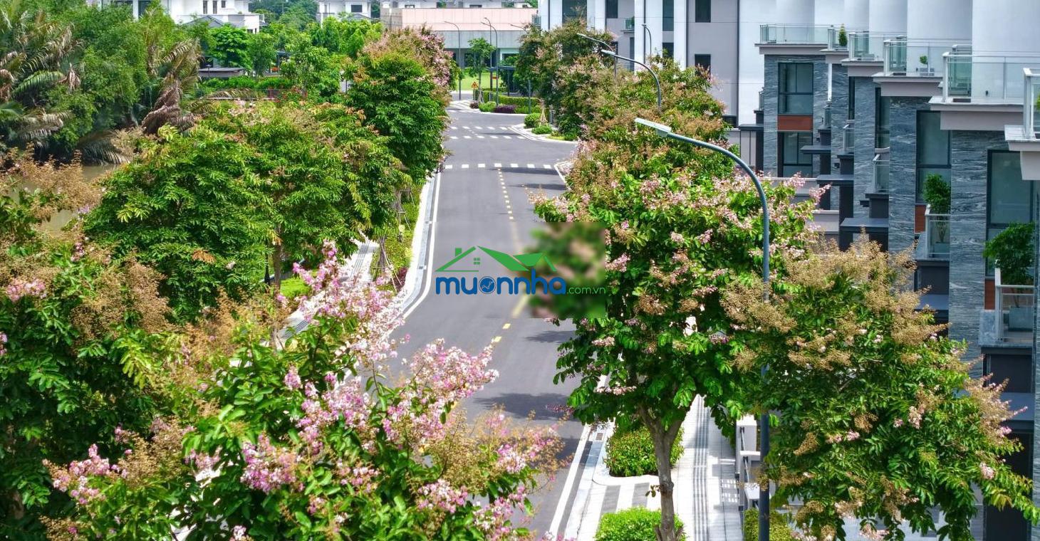 Có nên mua căn hộ 1 phòng ngủ gladia heights? lý do khiến nhà đầu tư quan tâm