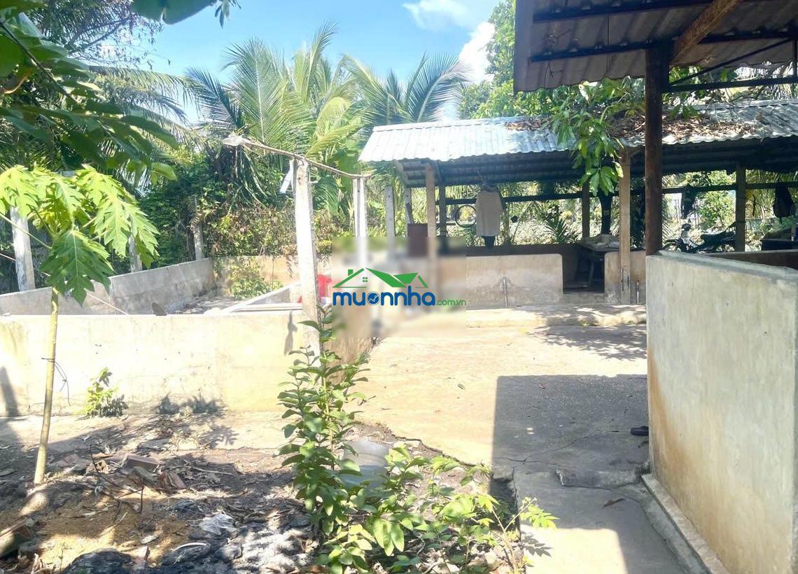 Nhà vườn cực đỉnh - thông số lý tưởng 22x35m - vị trí đẹp gần mặt tiền - shr thổ cư - 2