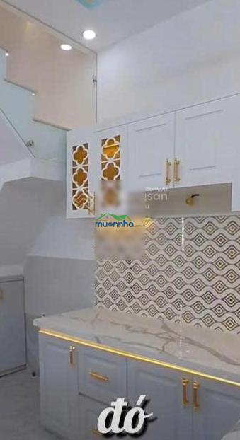 Đào tông nguyên - sổ chung - ngang 3,1 x dài 12 - giá chào 2,75 tỷ