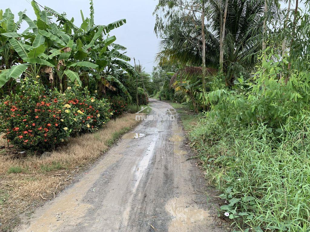 1000m2 đất long an chính chủ, khu dân cư, trường, chợ, ubnd, thổ cư. - 3