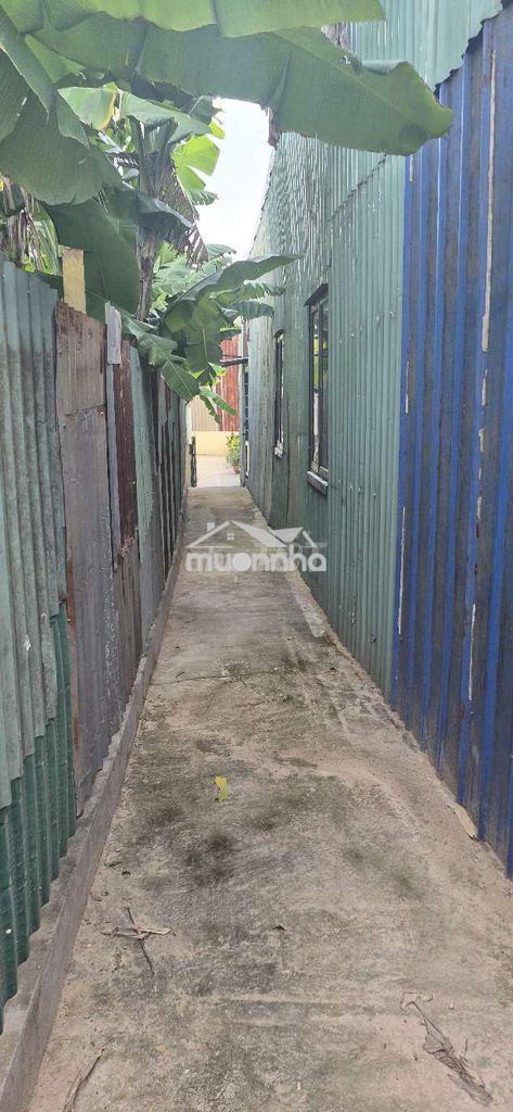 Cho thuê nhà nguyên căn 100m có gát còn mới hiệp bình thủ đức - 2
