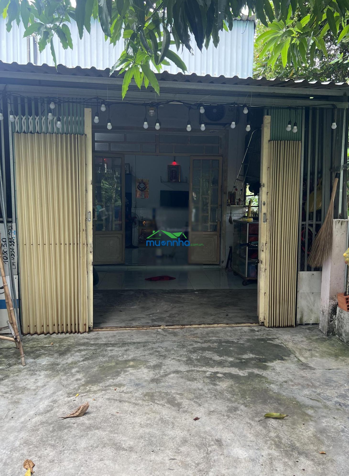 Nhà cấp 4, có 2pn 1wc. sân trước rộng thoải mái nhà có 2 cây xoài trồng trước sân mát - 2