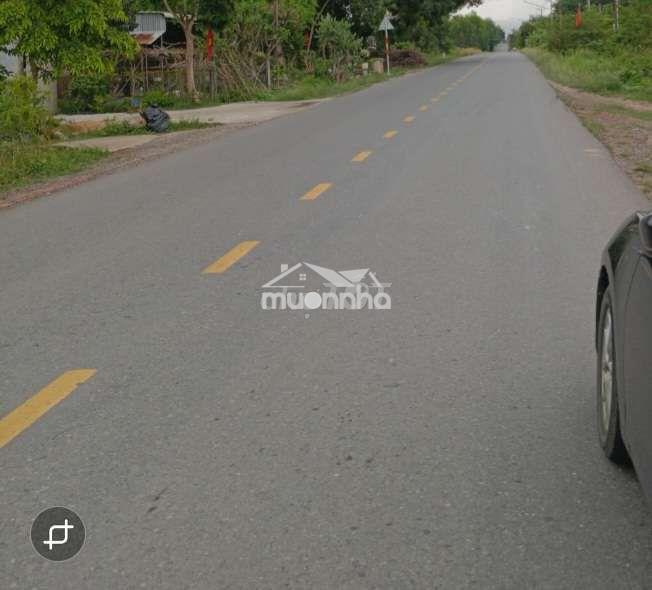 Bán hoặc cho thuê - 4