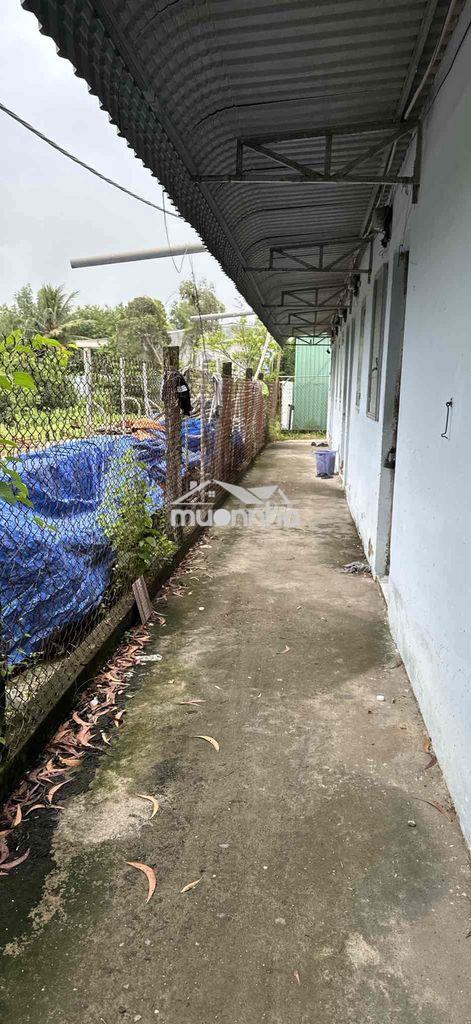 Nhà trọ sáng như ngọc - 3