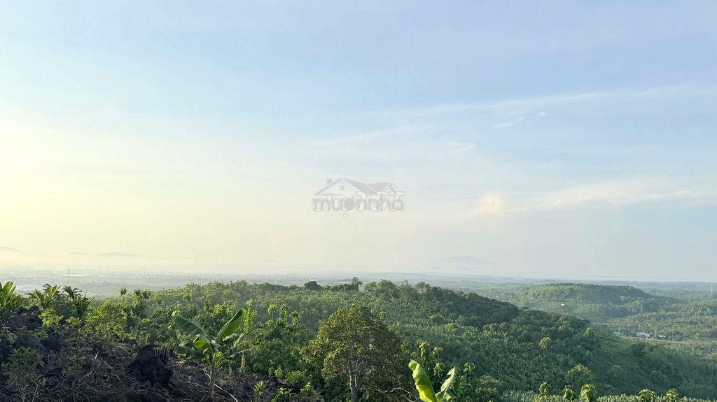🍃 Chỉ 665 triệu sở hữu ngay 1.242m² đất vườn trái cây - qh đất ở - 3
