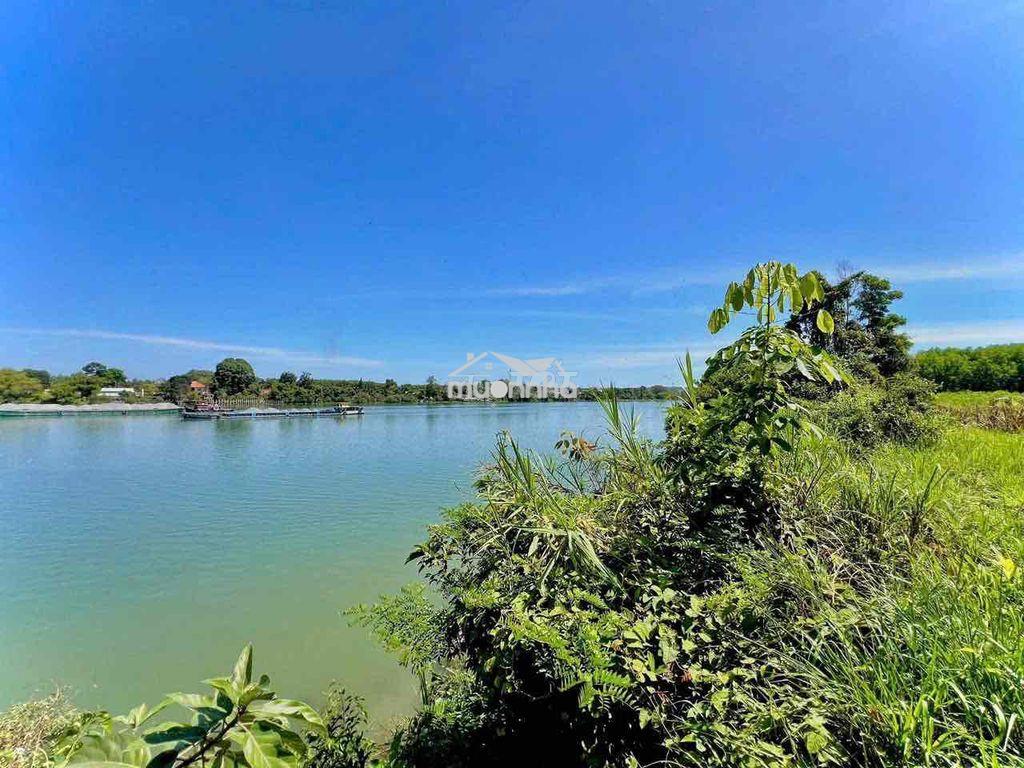 Cho thuê đất 5.000m2 - bình lợi - vĩnh cửu - giá: 10tr - 4