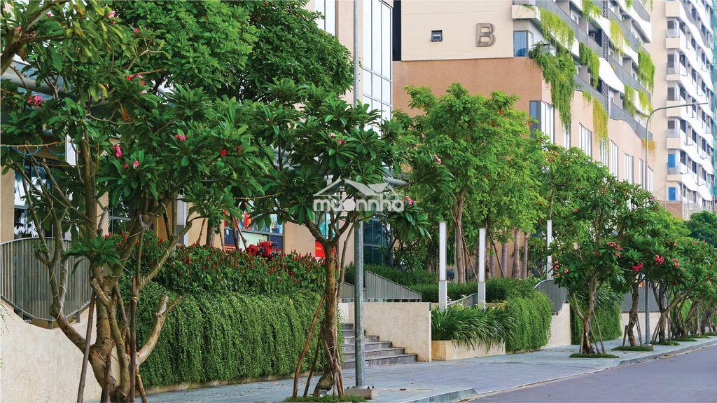 Diamond lotus riverside _ngay cầu chữ y_79m2_giá cực rẽ_full nội thất - 2