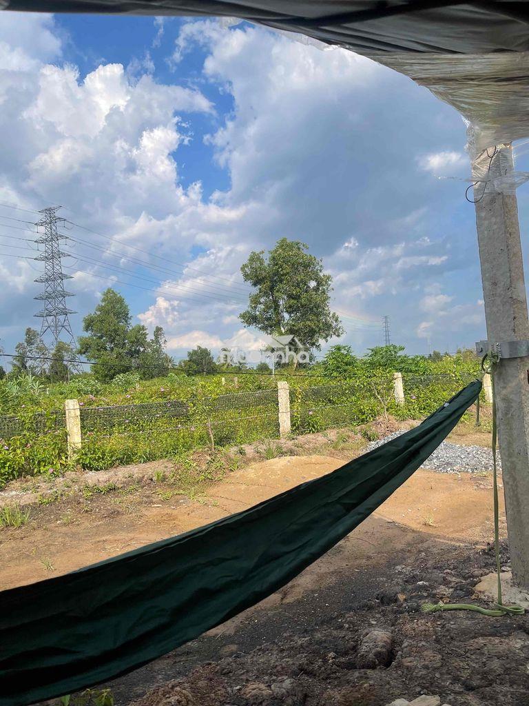 Đất vườn chính chủ - 2