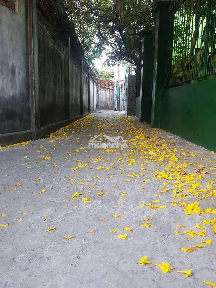 Bán nhà tt thành phố mỹ tho - 2