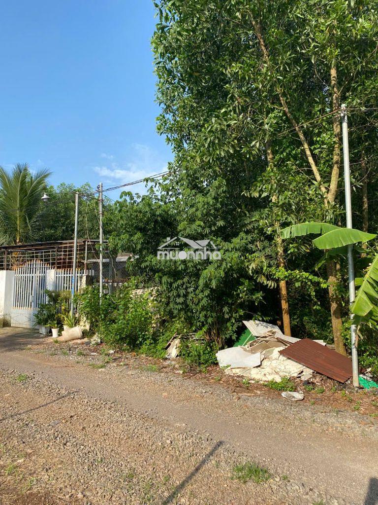 Bán đất - 2