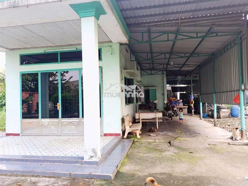 Nhà vườn siêu rộng 787m² full thổ cư – ngang 25m – chỉ hơn 9 triệu/m²