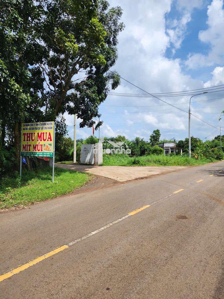 Mạt tiền nhựa liên huyện - 3