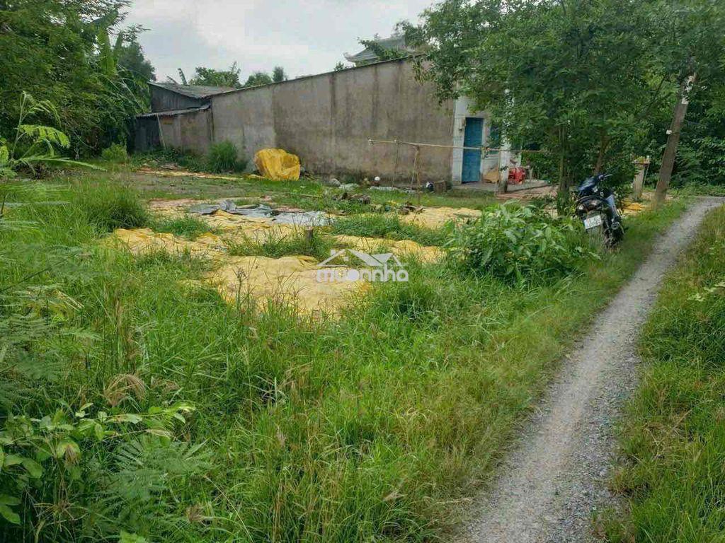 190m2 đất vườn được chuyển thổ cư xã hưng long bình chánh - 2