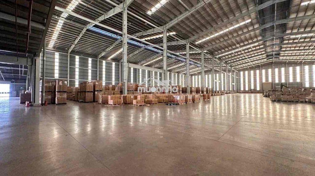 Kho xưởng pccc nhiệm thu ( 8.000m2 ) bình tân - 2