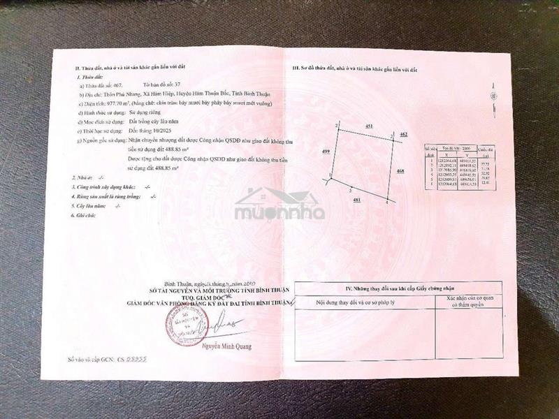 Bán đất đẹp chính chủ