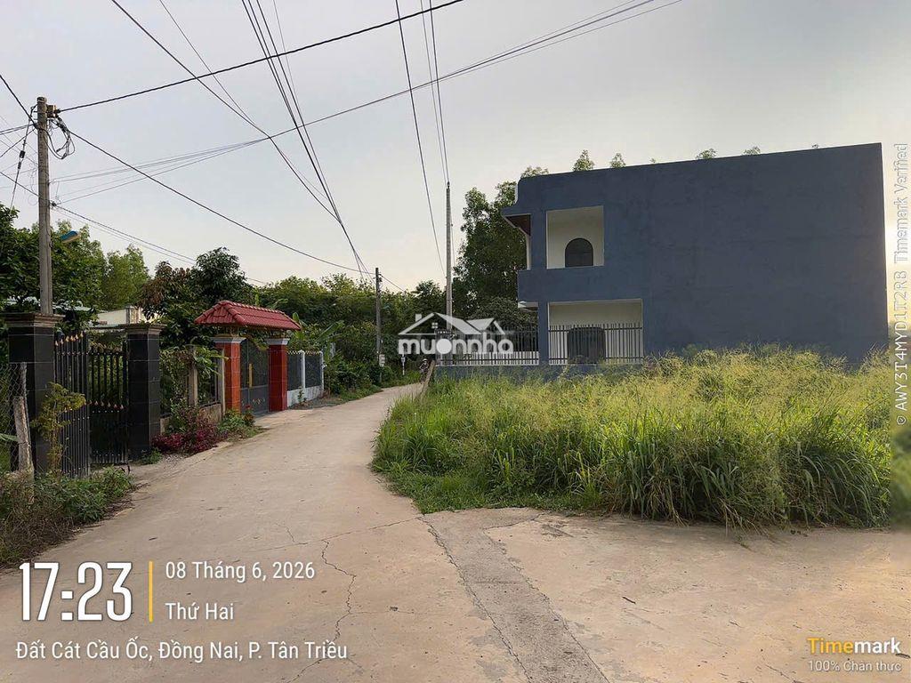 Đất đường đất cát cách hương lộ 15 30m, đối diện cây xăng kim cương - 3
