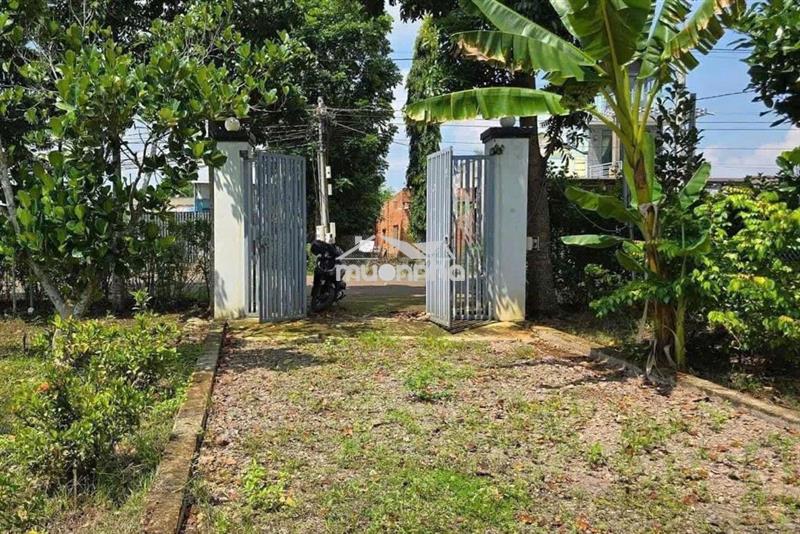 Đất vườn thổ cư cần bán gap