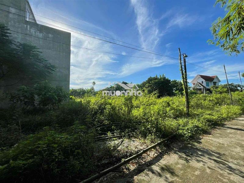 Chính chủ cần tiền bán đất mt đường nguyễn bỉnh khiêm, 585 triệu
