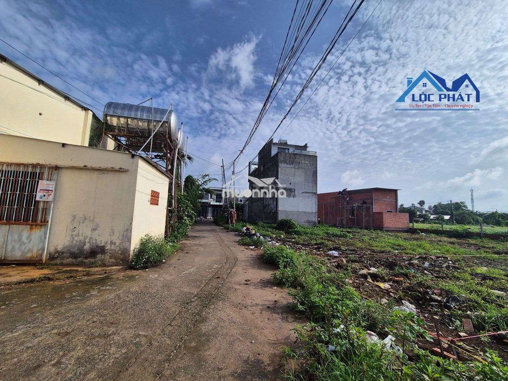 Đất thổ cư đường 768 phường tân triều tp đồng nai  - 4