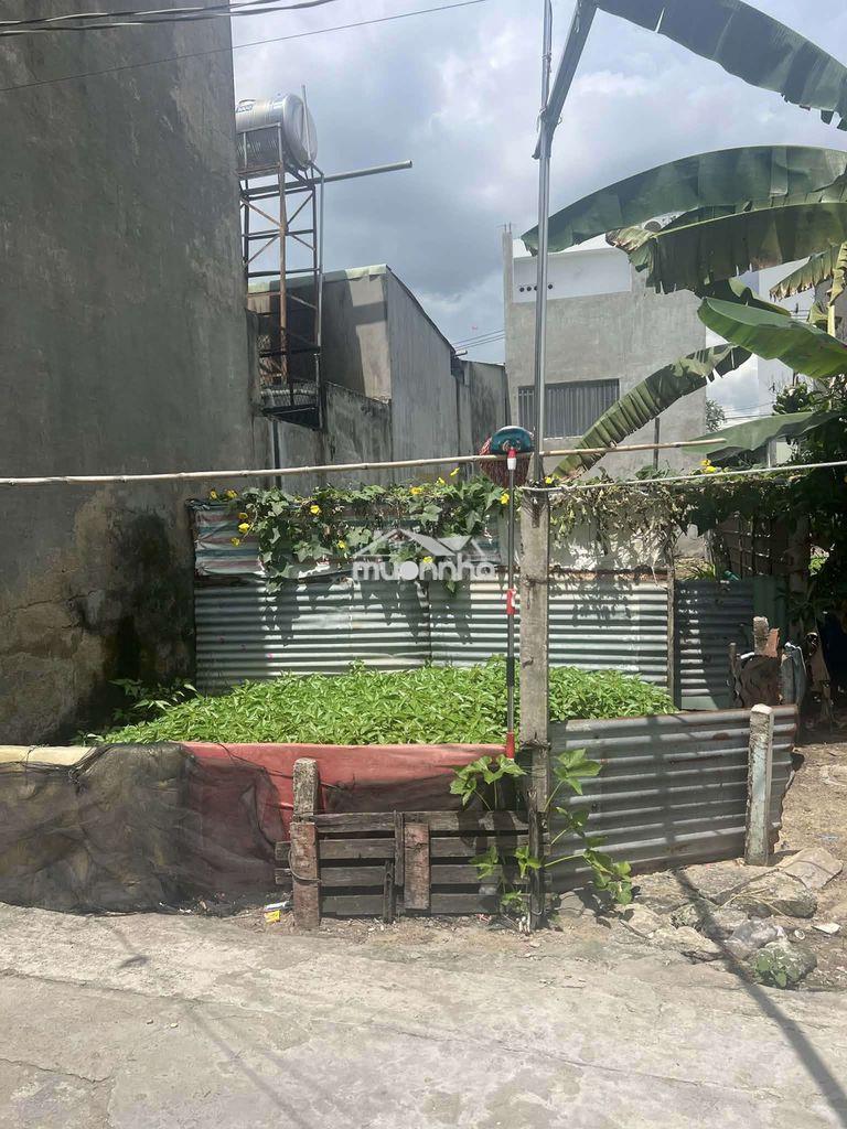 Bán đất khu phở việt xã thạnh phú cũ. gần 100㎡ đường thông - nước máy - 3