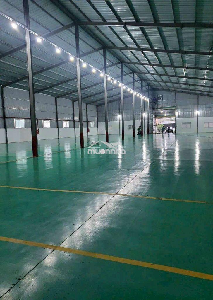 Cho thuê xưởng thuận giao thuận an bình dương - 3