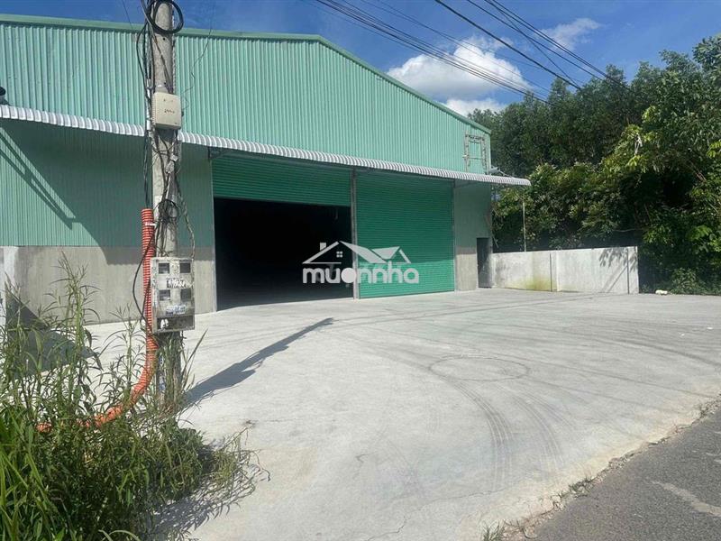Xưởng mới xây 1500m giá hạt dẻ