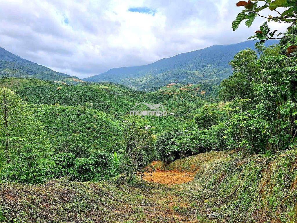 Đất mặt tiền đường nhựa, ô tô vào tận nơi, view đẹp, sổ hồng chính chủ - 4