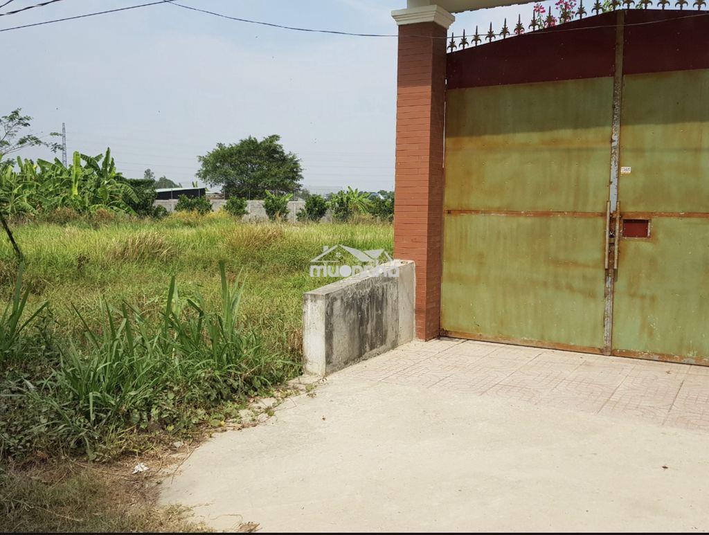 Bán đất mặt tiền đường quách văn tuấn tp tân an - 2