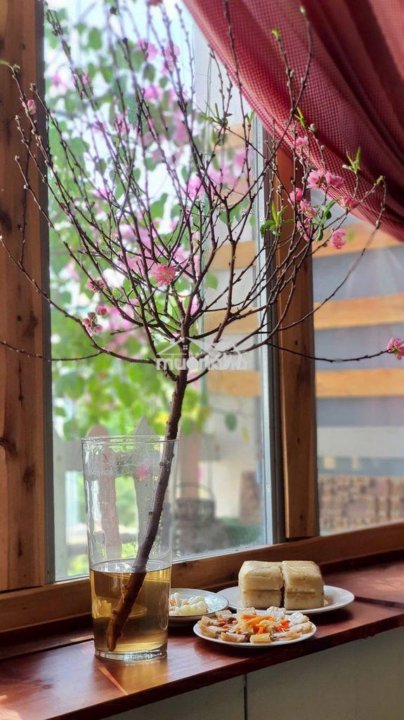 🔥Full nội thất nguyễn thị nghĩa - view triệu đô - chỉ 6tr 🔥