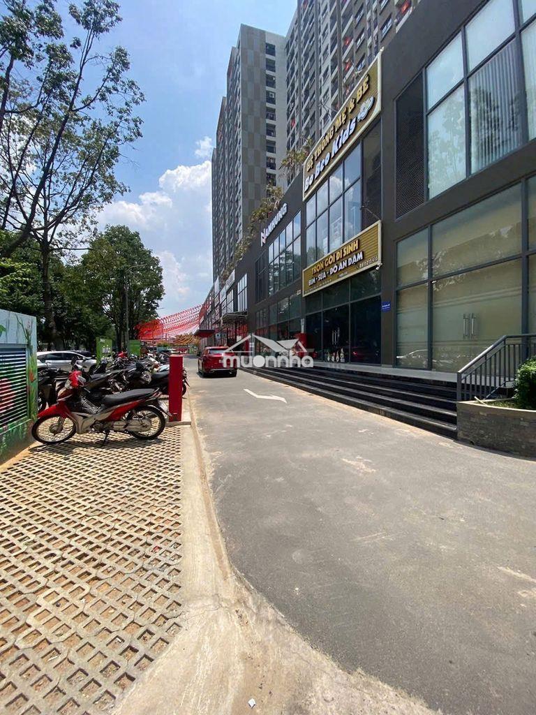 Cho thuê 2 căn chung cư a6a7 phường trấn biên giá 8 và 9 triệu - 3