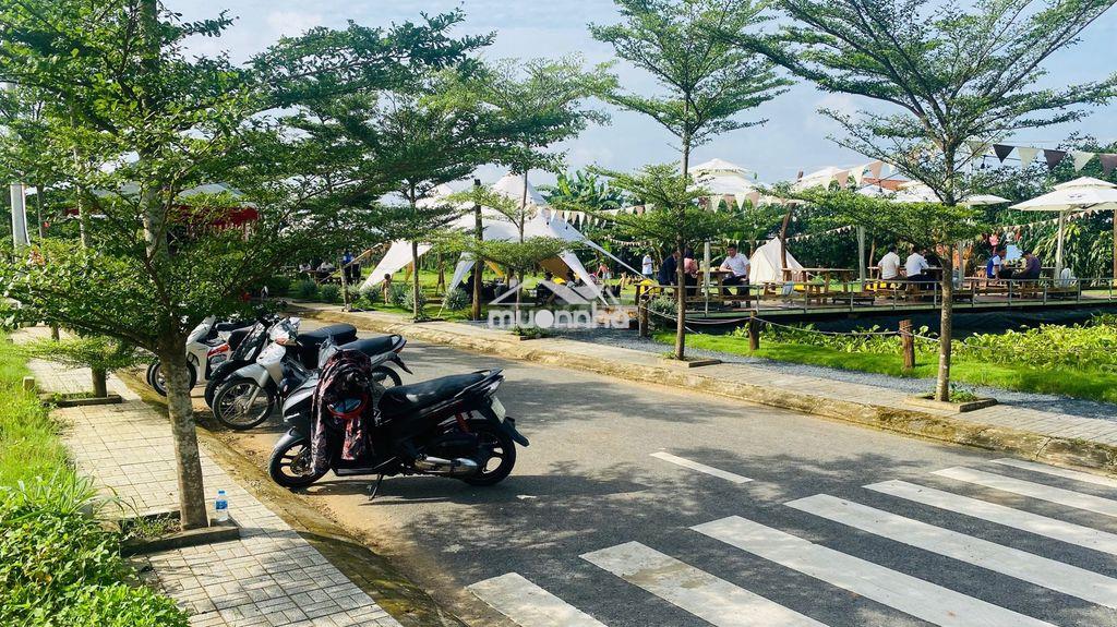Đất nền ngay kdc mới biên hòa giá chính chủ, sổ sẵn, trả trước 450tr - 3