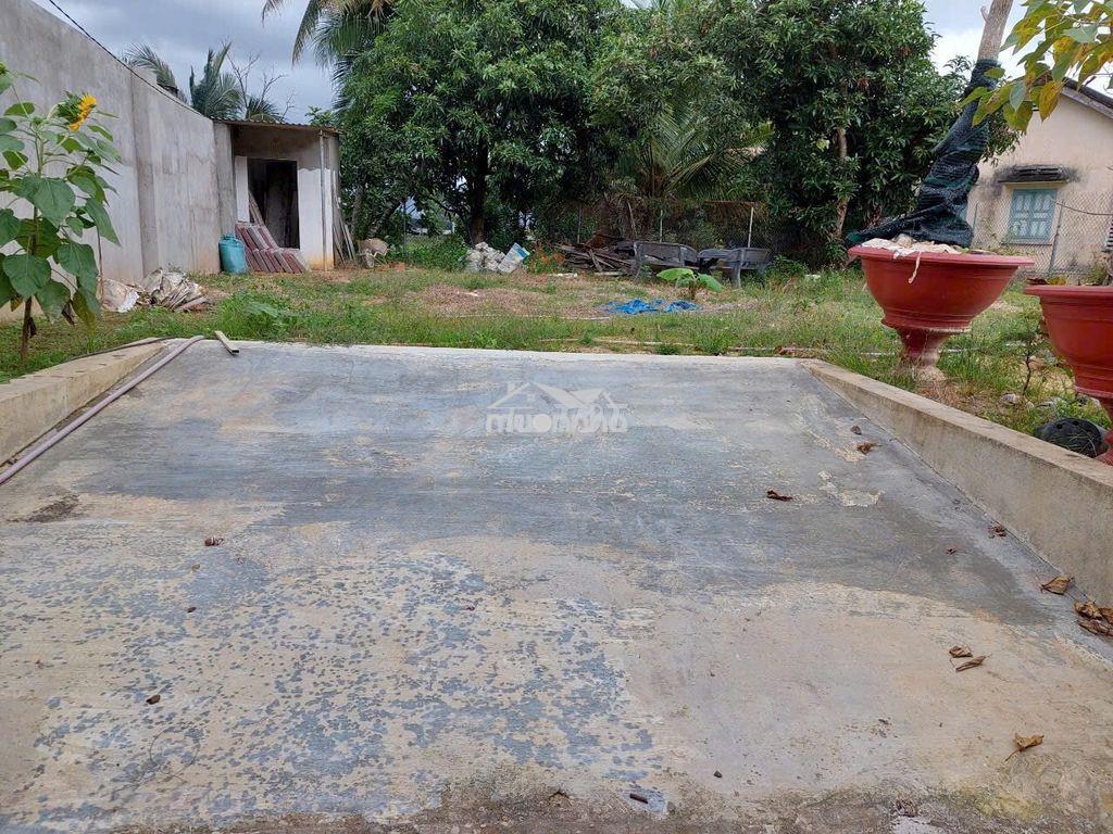 Bán đất diên toàn mặt tiền đường nhựa  giá chỉ 12.5tr/m2 - 2