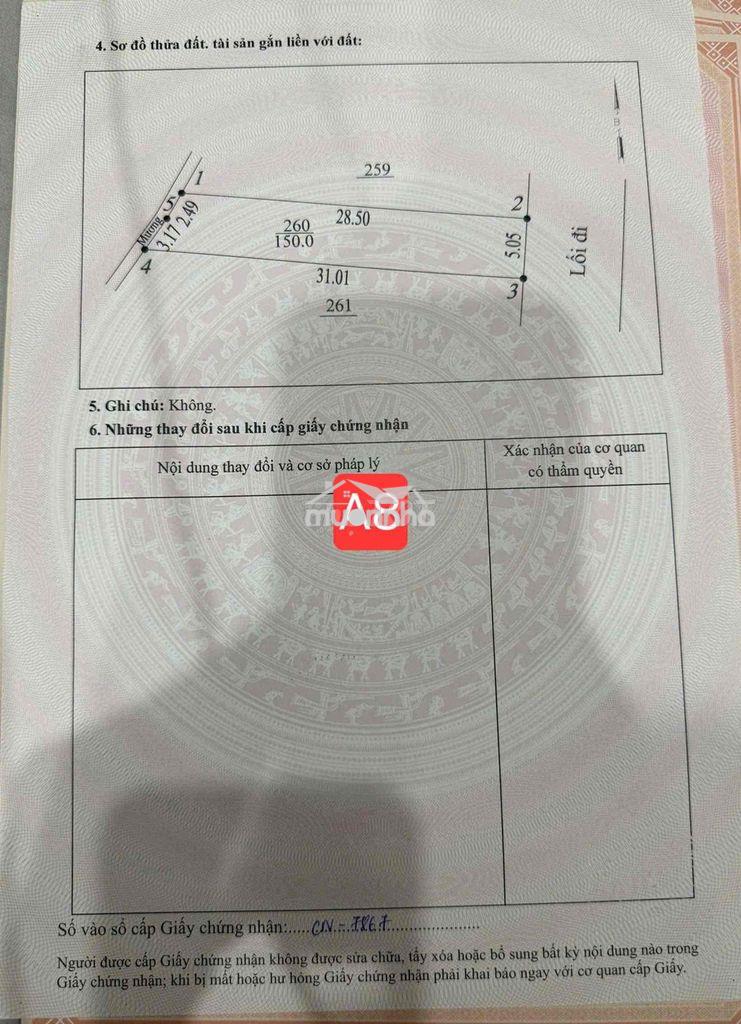 Hơn 1 tỷ có ngay lô đất 150m2 ở khu 24 vạn xuân - tam nông - phú thọ. - 3