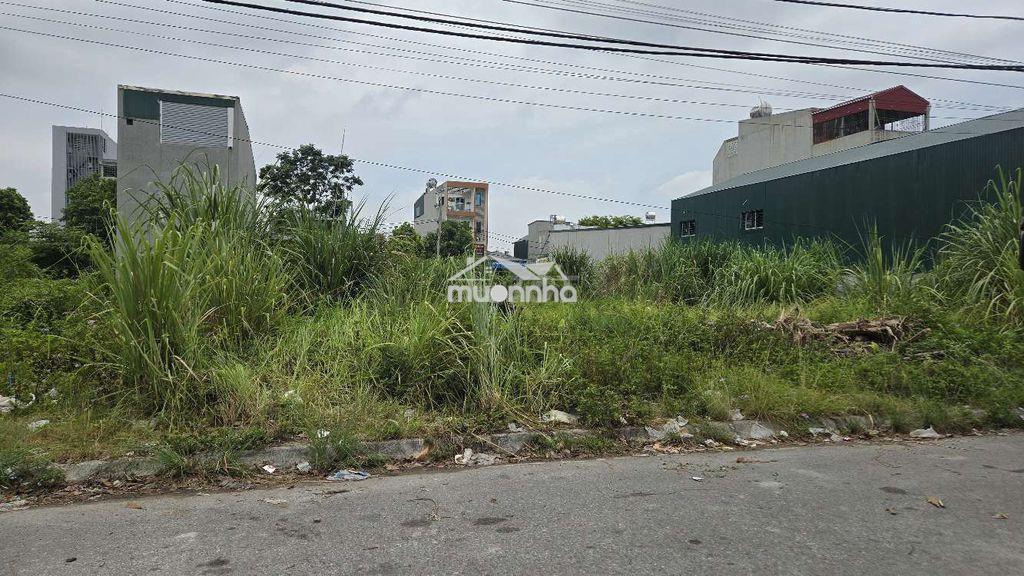 Bán đất, cho ai có thiện chí.  - 4