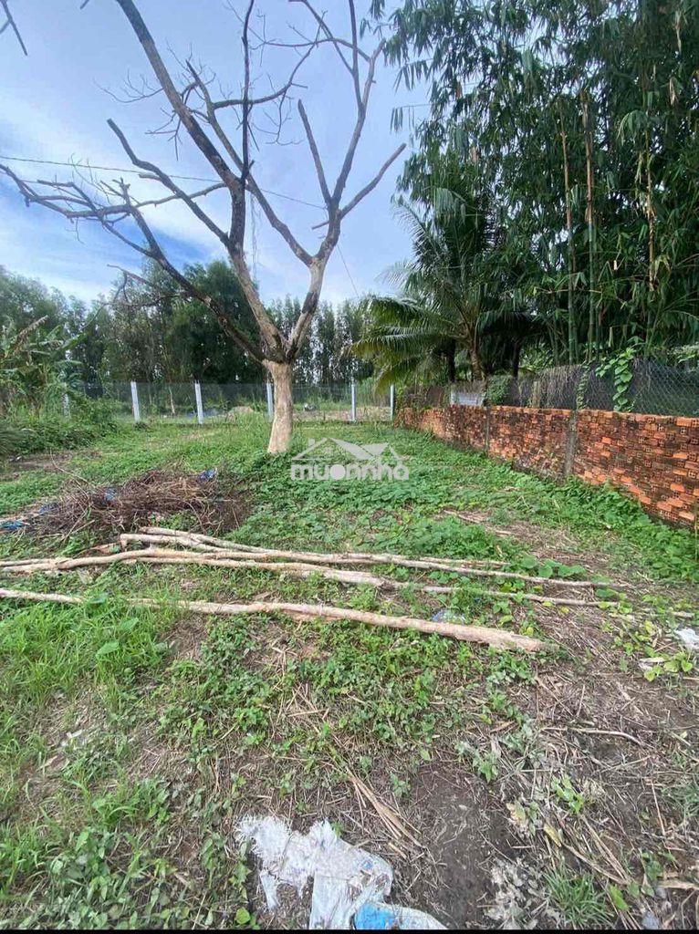 Giá ngộp 1300m2 đất lộ giới 4m cách cầu ba láng 250m  giá 1 ty 8 tl