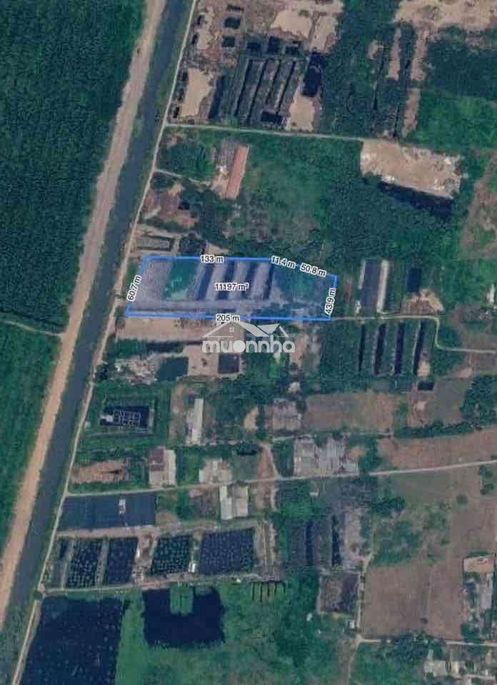 Đất đẹp tại c13/3a, ấp 3, vĩnh lộc a, bình chánh, 1 tỷ, 1000 m2 nằm ở