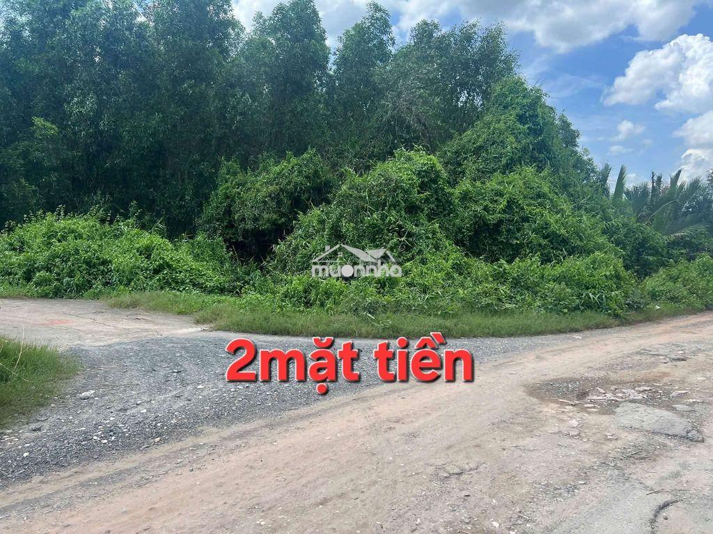 Đất phước an mặt tiền hùng vương va long tho thich hop kho xưởng - 4