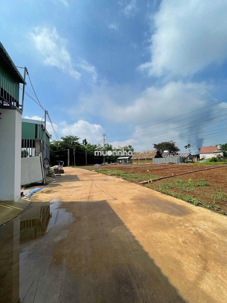 115m2 đất thổ cư hẻm bê tông 5m sát nguyễn hoàng và gần chợ sông trầu - 4