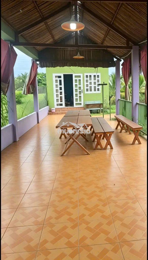 Bán nhà vườn chính chủ – chợ gạo, tiền giang - 4