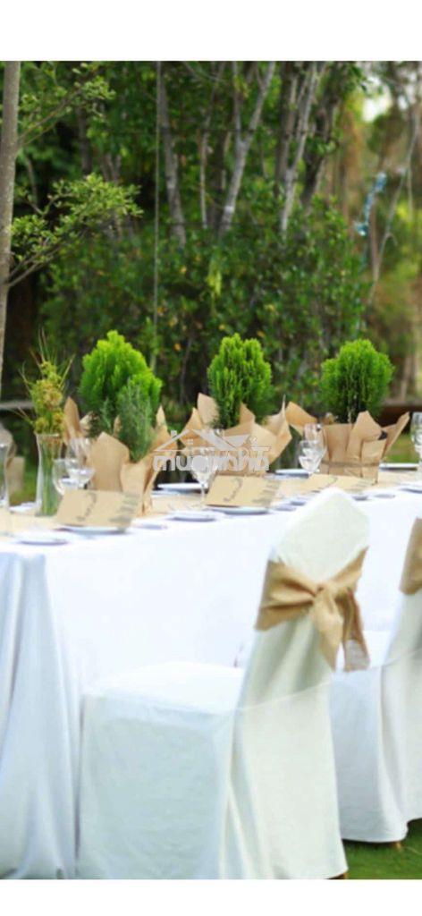 Nhà cho thuê chính chủ hoa viên 309bis huỳnh văn bánh,p nhú nhuận - 2
