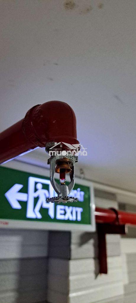Phòng tách bếp- chính chủ- an dương vương giao võ văn kiệt - Ảnh 4
