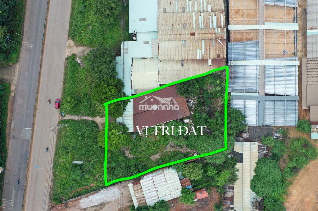 Chính chủ cần bán gấp hơn 1000m² đất mặt tiền an phước - long thành - 2