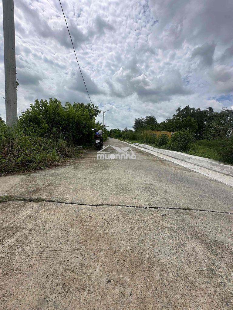 Bán đất kdc mới đường bảy tấn, an phú tây, bình chánh - 3