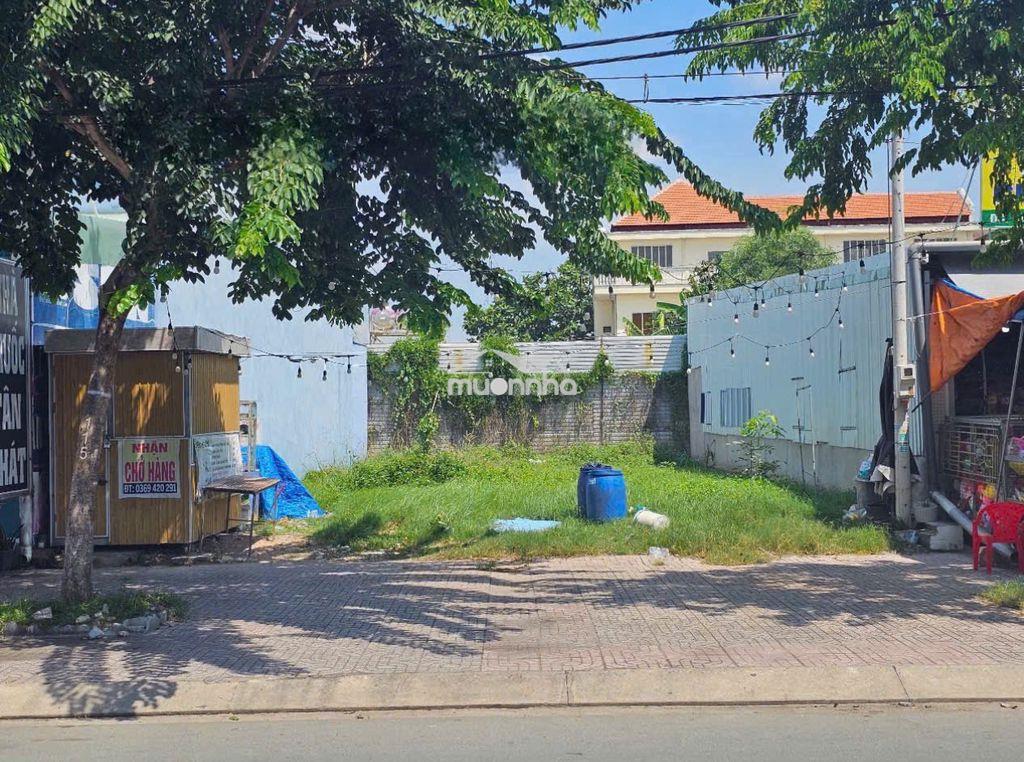 162m2 x.tân thông hội anh chủ đất bán giá đất ngộp chủ 600tr... - 4