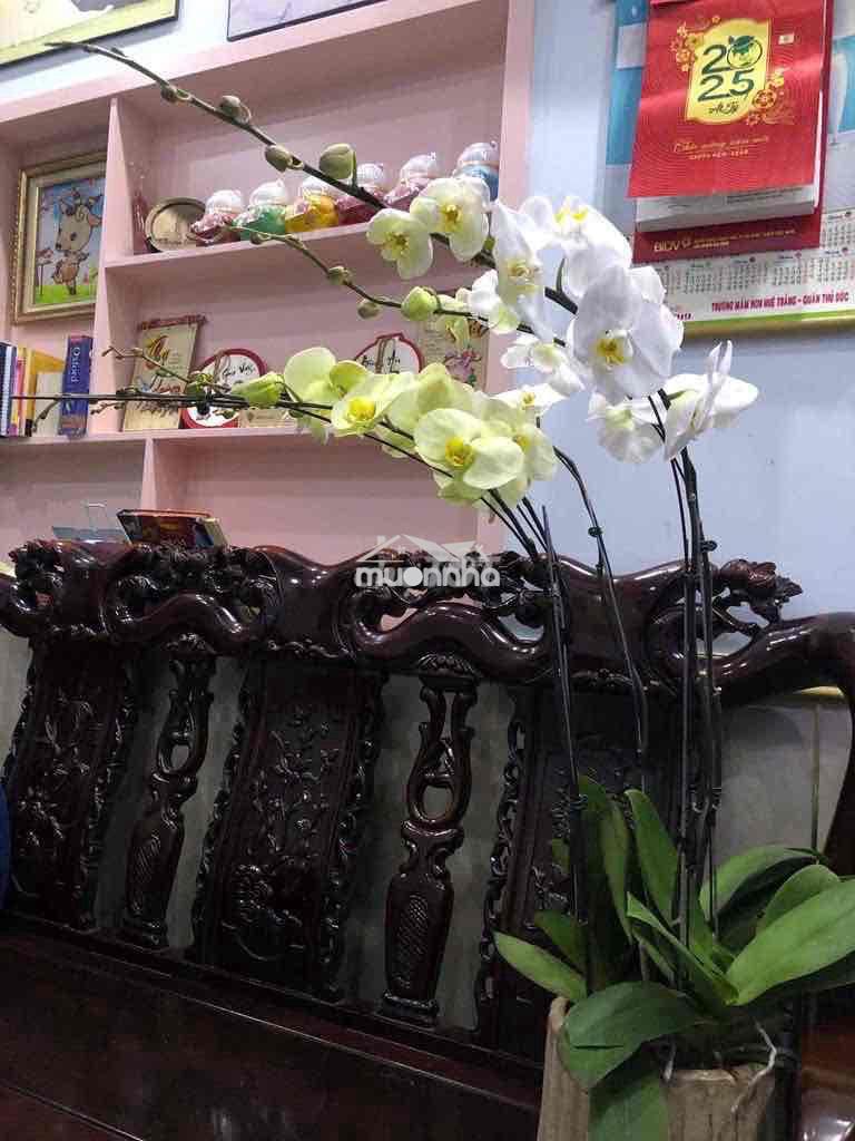 Gần tttm gigamal nhà 4lầu 4pn 4wc full nội thất ở gia đình + vpcty - 4