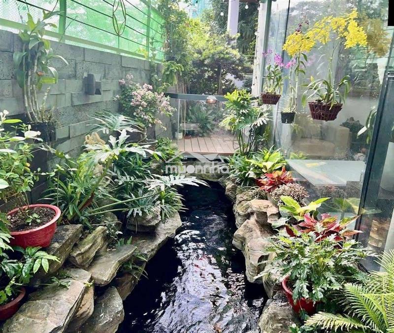 Q7.cho thuê biệt thự.vườn hồ bơi