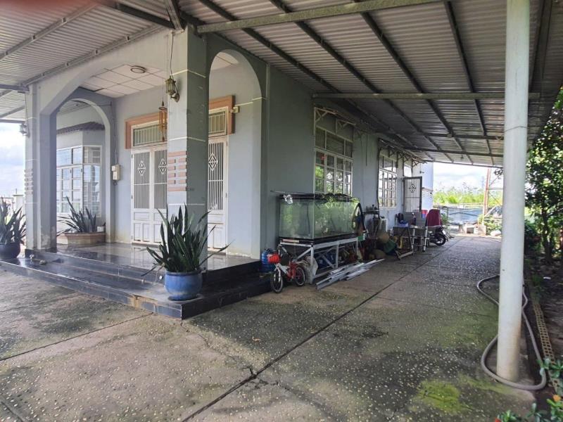 🏭🏡 Chính chủ cho thuê nhà xưởng & đất rộng 1.306m² tại phước thạnh, củ chi 🏡🏭 - 2