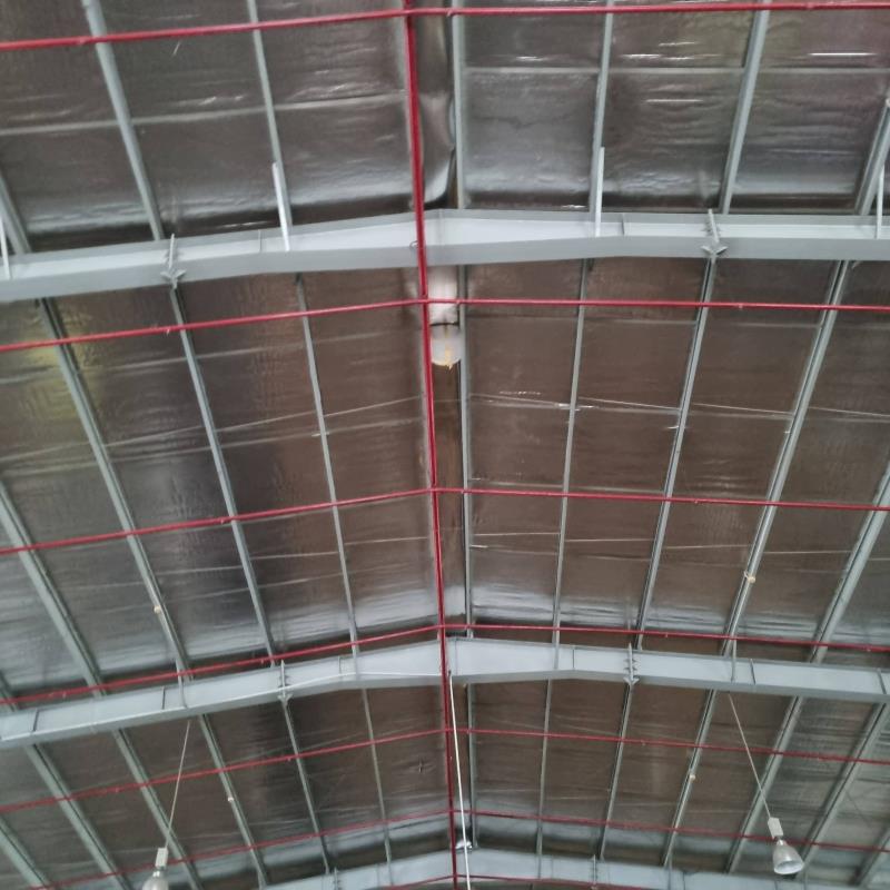 Tổng dt 3.500m2 (kho 2.400m2) - có pccc tự động, kcn tân tạo - 2